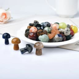 10Pcs Natural Crystal Mini Mushroom Gem Quartz Mushroom Mineral Healing Reiki Home Decoration DIY Crafts Gift Aquarium Stone