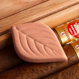 Cigar Humidifier Natural Tobacco Moisturizer Reusable Leaf Clay Hydrostone