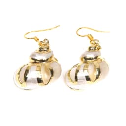 New In Natural Shell Sea Scallop Drop Earrings Boho Shell Drop Earrings for Women Femal Sea Beach Earrings Summer Jewelry Gifts