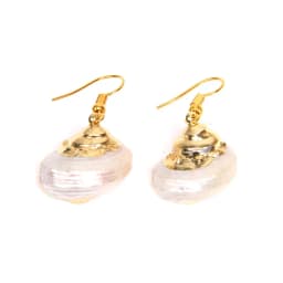 New In Natural Shell Sea Scallop Drop Earrings Boho Shell Drop Earrings for Women Femal Sea Beach Earrings Summer Jewelry Gifts