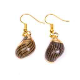 New In Natural Shell Sea Scallop Drop Earrings Boho Shell Drop Earrings for Women Femal Sea Beach Earrings Summer Jewelry Gifts