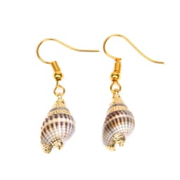 New In Natural Shell Sea Scallop Drop Earrings Boho Shell Drop Earrings for Women Femal Sea Beach Earrings Summer Jewelry Gifts