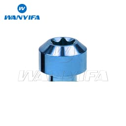 Wanyifa Titanium Bolt M6x10/15/20/25/30/35/40/45/50/60/65/70/80mm T30 Torx Head Screws for Bicycle Motorcycle 4/10PCS
