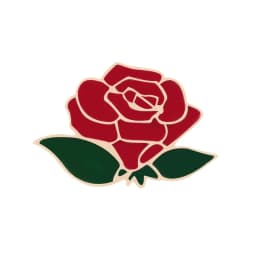 Pretty Flower Badge Red Black Rose Enamel Pins Metal Fashion Brooches Valentine's gift For Girlfriend Backpack Lapel Hat Jewelry