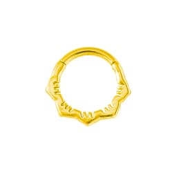 Flower Shape Nose Ring Septum Clicker Helix Piercing Ear Cartilage Daith Hoop Body Piercing For Women Men 316L Surgical Steel
