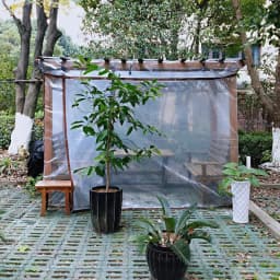 0.1mm Transparent  PE Film Rainproof Tarpaulin Balcony Plants Keep Warm Garden Furniture Pergola Rain Cover Canopy Awnings