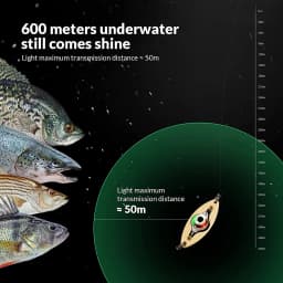 LED Fishing Lure Light Deep Drop Fishing Spoons Underwater Eye Shape Fishing Lure Light Tackle Fishing Equipment Accessories