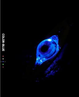 LED Fishing Lure Light Deep Drop Fishing Spoons Underwater Eye Shape Fishing Lure Light Tackle Fishing Equipment Accessories
