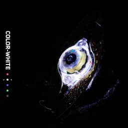 LED Fishing Lure Light Deep Drop Fishing Spoons Underwater Eye Shape Fishing Lure Light Tackle Fishing Equipment Accessories