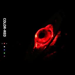 LED Fishing Lure Light Deep Drop Fishing Spoons Underwater Eye Shape Fishing Lure Light Tackle Fishing Equipment Accessories