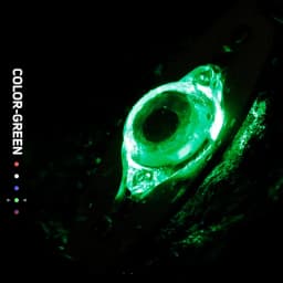 LED Fishing Lure Light Deep Drop Fishing Spoons Underwater Eye Shape Fishing Lure Light Tackle Fishing Equipment Accessories