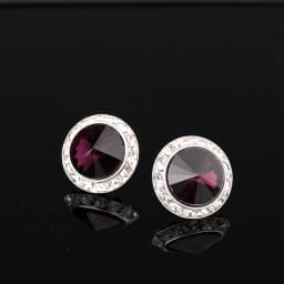 YCDZSWWL Classic Women Crystal Stud Earrings Elegant Ladies Diamante Ear Studs Earclip for Wedding Banquet Dance Party