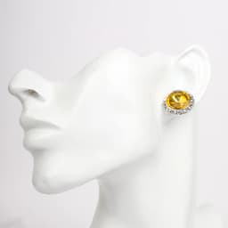 YCDZSWWL Classic Women Crystal Stud Earrings Elegant Ladies Diamante Ear Studs Earclip for Wedding Banquet Dance Party