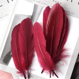 15Cm-20Cm Big Natural Goose Feathers For Crafts Decoration Carnival Jewelry Making Accessories Goose Feather DIY Pens Decorative