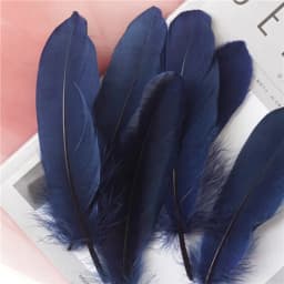 15Cm-20Cm Big Natural Goose Feathers For Crafts Decoration Carnival Jewelry Making Accessories Goose Feather DIY Pens Decorative
