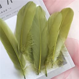 15Cm-20Cm Big Natural Goose Feathers For Crafts Decoration Carnival Jewelry Making Accessories Goose Feather DIY Pens Decorative