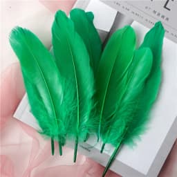 15Cm-20Cm Big Natural Goose Feathers For Crafts Decoration Carnival Jewelry Making Accessories Goose Feather DIY Pens Decorative
