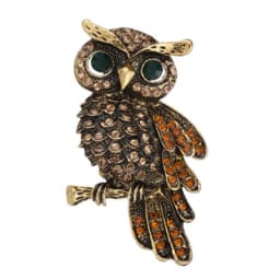 BUCOMEOI Large Bird Owls Vintage Brooches Antiques Bouquet Owl Hijab Pin Up Designer Wedded Broach Scarf Clips Jewelry Fleur De 