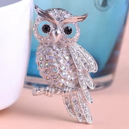 BUCOMEOI Large Bird Owls Vintage Brooches Antiques Bouquet Owl Hijab Pin Up Designer Wedded Broach Scarf Clips Jewelry Fleur De 