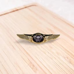 120th Golden Wings Skull Biker Badge 120 Years of America's First Motorcycle Company Anniversary Pin 2021 New Accessories