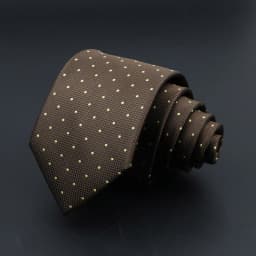 Fashion Neckties Classic Stripe Tie Jacquard Woven Men Polka Dots Necktie Daily Wear Cravat Wedding Party Dress Accessories Gift