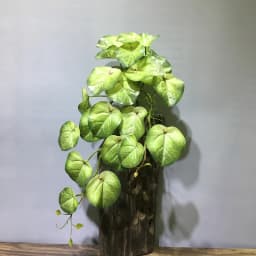 22in Large Artificial Hanging Plants Fake Ferns Leaves Plastic Begonia Plants For Home Room Garden Wedding Garland Decoration