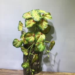22in Large Artificial Hanging Plants Fake Ferns Leaves Plastic Begonia Plants For Home Room Garden Wedding Garland Decoration