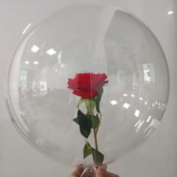50pcs 10 18 20 24 36 inch Pre Strech Bobo Ballons Clear Transparent Bubble Ballons Wedding Birthday Party Balloon Flower Bouquet