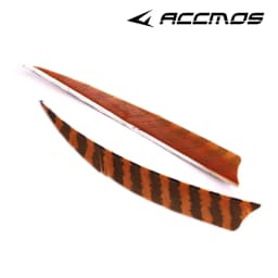 ACCMOS Natural Feather Arrows Fletching for Hunting Shooting Archery DIY Accessories,Right Wing,Turkey Plumage,3Inch 4Inch 5Inch