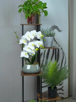 Plant Stand Stand For Flowers Iron 6/7/8Layers Plant Shelf Plant Organizer Storage Plant Holder Display Stand Garden Decoration