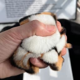 Cute Tiger Paw Key Chain Real Rex Rabbit Fur Keychain Cute Pompom Tiger Tail Keyring Bag Charm Trinkets Pendant Jewelry