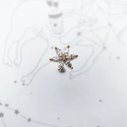 Stud Earrings Flower,2022 Summer Trendy Gift In 925 Sterling Silver Fine Jewerly For Women