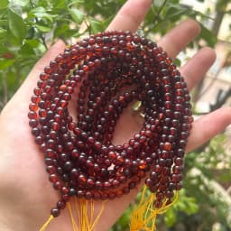 Natrural Genuine Baltic Flower Amber Faceted / Round Beads 4-7mm,Diy Bead Plant Natural Stone Men Women Jewelry Wholesale