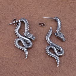 Punk Chinese Dragon Earrings for Women Gift Stainless Steel Unique Handsome Men Loong Ear studs Vintage Male Jewelry Accessories