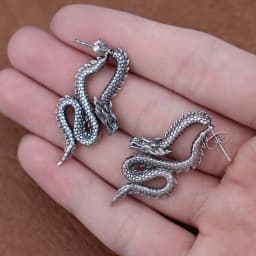 Punk Chinese Dragon Earrings for Women Gift Stainless Steel Unique Handsome Men Loong Ear studs Vintage Male Jewelry Accessories