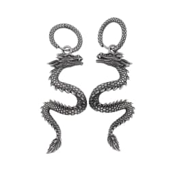Punk Chinese Dragon Earrings for Women Gift Stainless Steel Unique Handsome Men Loong Ear studs Vintage Male Jewelry Accessories