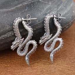 Punk Chinese Dragon Earrings for Women Gift Stainless Steel Unique Handsome Men Loong Ear studs Vintage Male Jewelry Accessories