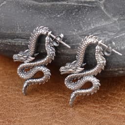 Punk Chinese Dragon Earrings for Women Gift Stainless Steel Unique Handsome Men Loong Ear studs Vintage Male Jewelry Accessories