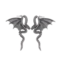 Punk Chinese Dragon Earrings for Women Gift Stainless Steel Unique Handsome Men Loong Ear studs Vintage Male Jewelry Accessories