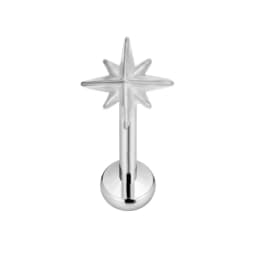 ASTM F136 G23 Titanium Flower Petals Star Heart Butterfly Threadless Piercing Pin Push in Labret Daith Conch Earring 16G 18G 20G