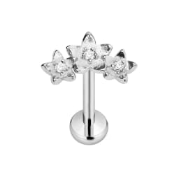 ASTM F136 G23 Titanium Flower Petals Star Heart Butterfly Threadless Piercing Pin Push in Labret Daith Conch Earring 16G 18G 20G