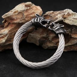 Fashion Retro Viking Double Wolf Head Bracelet for Men Punk Stainless Steel Twisted Cable Open Cuff Bangle Bracelet Dropshipping