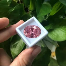 Large UNHEATED 20.50CT PINK SAPPHIRE 13X18MM OVAL CUT AAAA+ LOOSE GEMSTONES