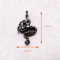 Pendant Dragon Brand New Punk Fashion Jewelry Europe 925 Sterling Silver Accessories Gift For Women & Rebel Men