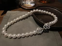 Exquisite Double Camellia Buckle Glass Faxu Pearl Necklace Short  Chain  Choker Jewelry