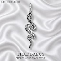Pendant Black Snake Brand Fashion 925 Sterling Silver Jewelry Europe Vintage Accessories Gift For Woman Men Girls