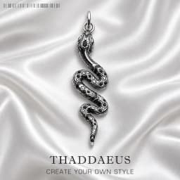 Pendant Black Snake Brand Fashion 925 Sterling Silver Jewelry Europe Vintage Accessories Gift For Woman Men Girls
