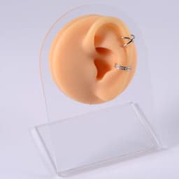 Silicone Ear Model Use for Tattoo Puncture Practice Display Jewelry Tool Body Piercing Simulation Model Sold With Acrylic Stand