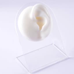 Silicone Ear Model Use for Tattoo Puncture Practice Display Jewelry Tool Body Piercing Simulation Model Sold With Acrylic Stand
