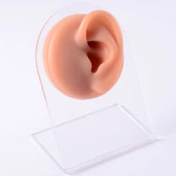 Silicone Ear Model Use for Tattoo Puncture Practice Display Jewelry Tool Body Piercing Simulation Model Sold With Acrylic Stand